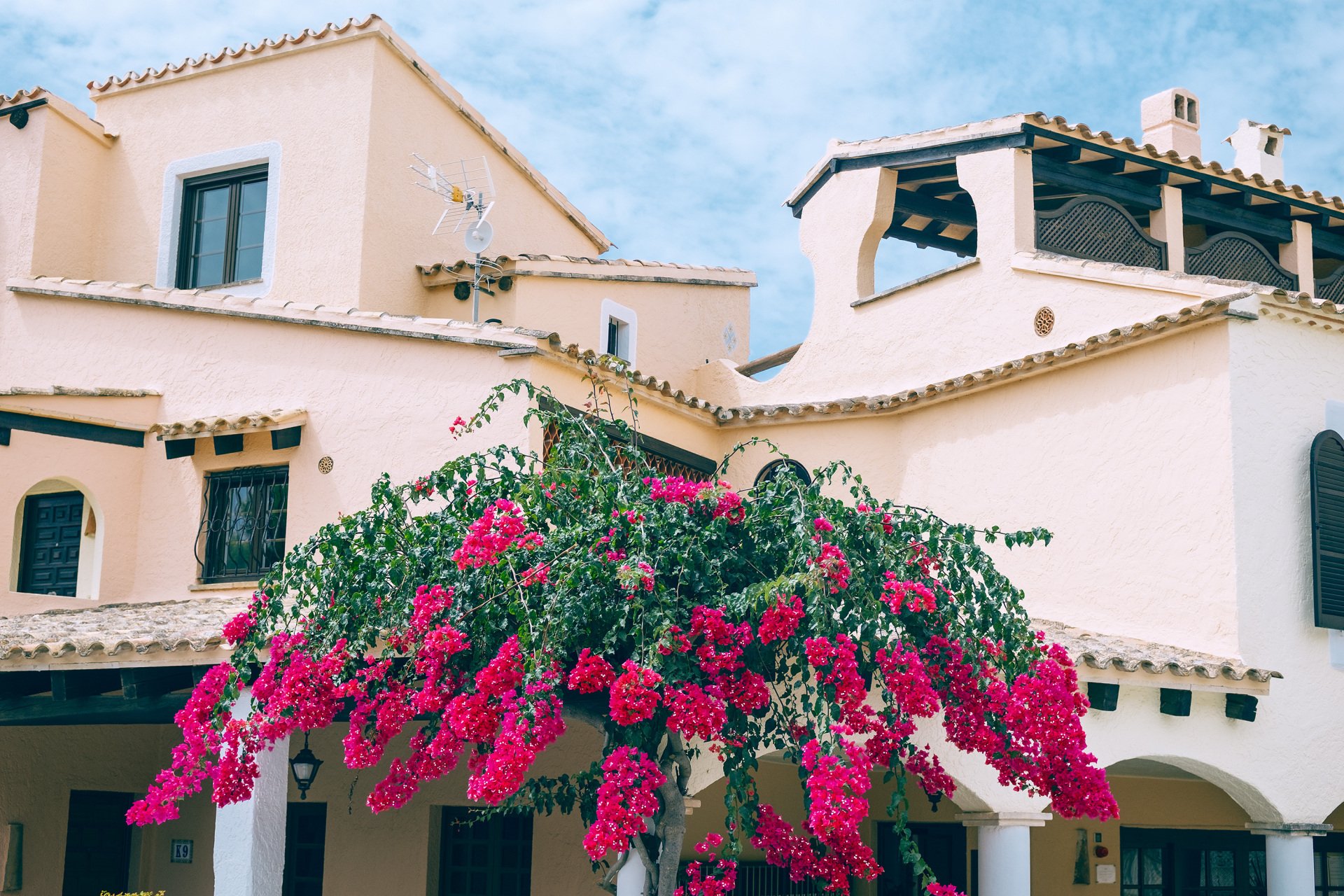 Edificio de paredes claras con tejados de teja, ventanas oscuras, porches con arcos y una planta de abundantes flores fucsias en primer plano.